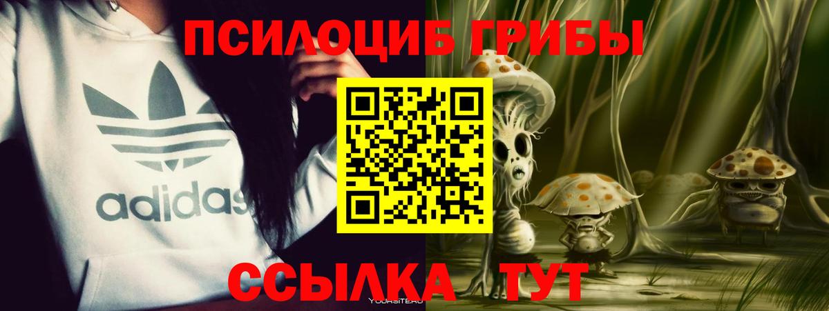 Псилоцибиновые грибы MAGIC MUSHROOMS  Вход с VPN  Луга 